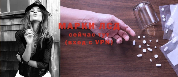 spice Аркадак