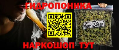 MDMA Premium VHQ Гай