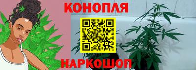 прущие грибы Гагарин