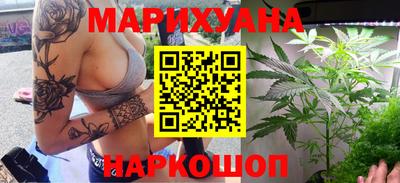 прущие грибы Гагарин