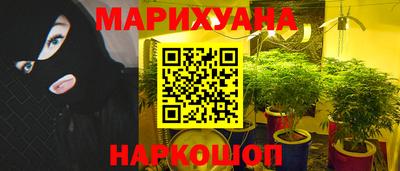 прущие грибы Гагарин
