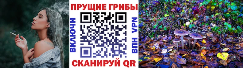 Галлюциногенные грибы Magic Shrooms  МЕГА онион  Котельники 